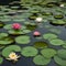 A floating garden of lily pads on a serene, reflective pond, each pad supporting a different type of flower2