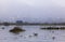 Floating Gardens of Inle Lake