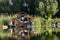 Floating house in the swamp