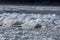 Floating Ice Blocks on the River