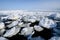 Floating ice in Shiretoko,Hokkaido,Japan