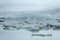 Floating icebergs melting in Fjallsarlon glacier lake, Iceland