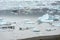 Floating icebergs melting in Fjallsarlon glacier lake, Iceland