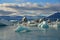 Floating icebergs on water surface