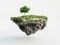 Floating Island with Lone Tree