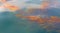 Floating Kelp background pastel