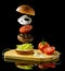 A Floating Levitating Hamburger sandwich