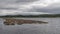 Floating logs on Kyronsalmi Lake, Savonlinna, Finland