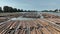 Floating logs in lumber yard in New Westminster, Annacis Island, British Columbia, Canada