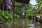 Floating Market by Bangkok Thailand, Damnoen Saduak. Views from tour boat of local sales shops, canals and vegetation landscape.