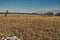 Floating mat at polesie region in Poland during winter season