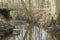 Floating muskrat trap in a stream in the Netherlands