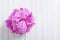 Floating peony flower