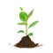 Floating piece of dirt with a growing plant on the