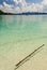 Floating Piece Of Wood On The Sea