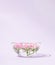 Floating pink roses in aromatherapy bowl with water. Minimal vertical concept. Pastel violet background.