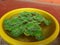 Floating plant green plant indian plants indoor plants