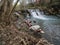 Floating plastic beer bottles in the small river.