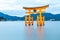 Floating torii Miyajima Hiroshima