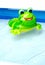 Floating toy frog in child pool