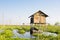 Floating vegetable plantation in Inle lake in Myanmar