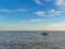 Floating wood buoy on blue sea