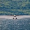 Floatplane landing on water