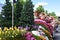 Floats from the 2019 Spirit Mountain Casino Grand Floral Parade at Moda Center in Portland, Oregon