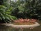 A flock of adult flamingos feeding in a pool at Jurong Bird Gardens in Singapore