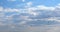 Flock of african Vultures circling , Botswana Africa wildlife