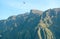 Flock of Andean condors flying over the Colca canyon, Peruvian Altiplano, Arequipa region, Peru