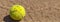 Flock of ants sticking round tennis ball