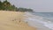 Flock of birds catch food in sea waves at tropical sand beach in India