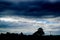 Flock of Birds in Cloudy Sky