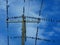 Flock of birds on a electrical wires