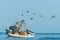 Flock of birds and fishing boat in the peruvian coast at Piura P