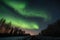 a flock of birds fly in formation above the aurora