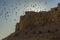 A flock of birds fly past the walls of the old city in Jaisalmer, Rajasthan, India
