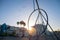 A flock of birds flying around travelling rings for exercise at muscle beach jungle gym on in Santa Monica, California