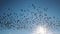 A flock of birds flying in formation against the backdrop of a clear blue sky created with Generative AI