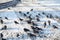 A flock of birds frozen pigeons and sparrows on the pavement in the snow with