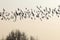 Flock of birds migrating south.