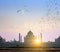 Flock of birds over Taj Mahal in Agra, Uttar Pradesh, India. Look in a morning haze through a garden on the opposite river bank