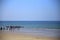 Flock of birds in search of fish, and unrecognizable people at sunset after the return of fishing boats, Qurum beach, Muscat, Oman