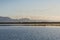 Flock of birds at sunrise in the natural park of Albufera, Valencia, Spain