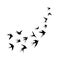 A flock of birds (swallows) go up. Black silhouette on a white background.