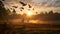 A flock of birds taking flight over a vast open field.