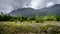 Flock of Birds under Dark Clouds over a field with Dandelions at the foot of the Coast Mountains