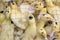 Flock brood of yellow ducklings birds crowd in cage
