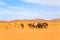 Flock of camel in desert